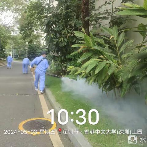 【中航物业】2024年5月香港中文大学病媒生物防控工作月报