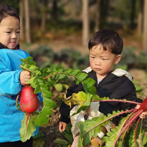 圣希蒙台梭利幼儿园——美好时光，与你相伴