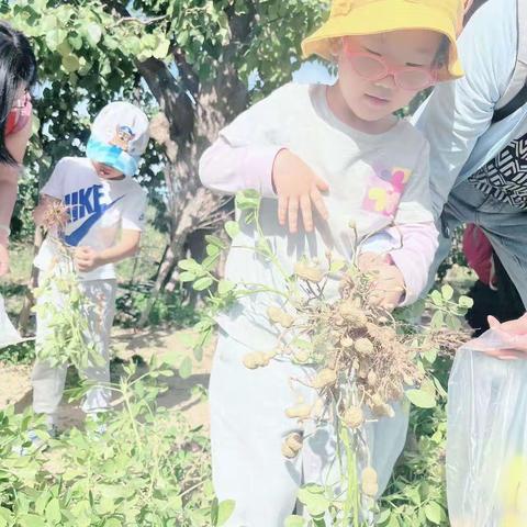 秋日采摘正当时