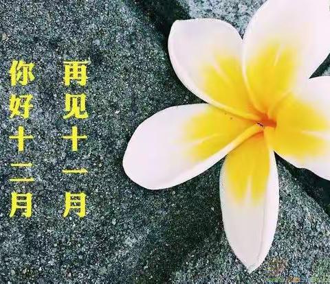 十一月份再见！