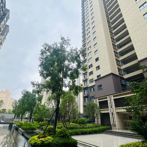 黯然的文章