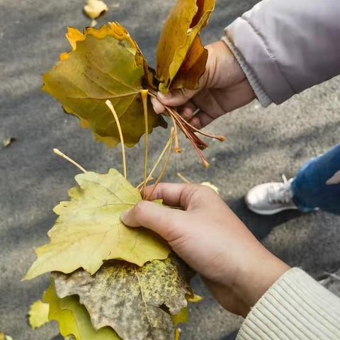 第二实验小学附属幼儿园中班段《秋日随地开战根王拔根比赛争霸赛》