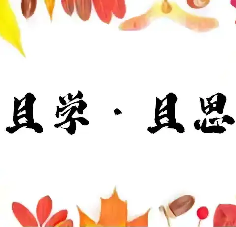 教坛添新蕊 课堂展风采——兰陵县第十五小学新教师上岗课纪实