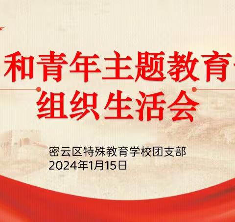 密云区特殊教育学校团支部召开团员和青年主题教育专题组织生活会