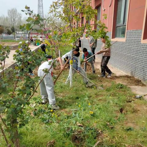 春日里的耕耘——实验田锄草记