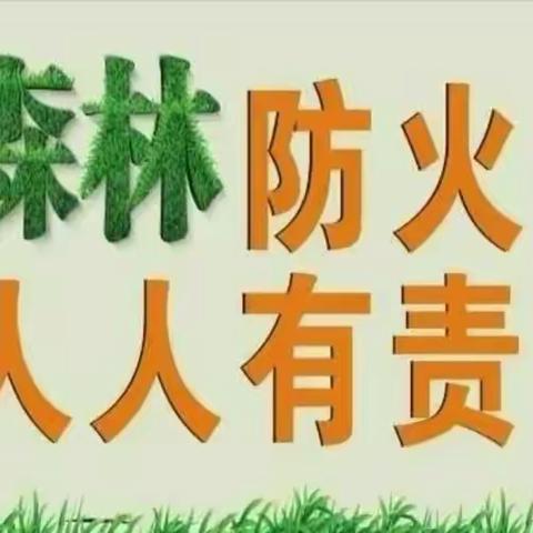 森林草原防火，防患未“燃” 荀子实验第二小学森林草原防火致家长的一封信