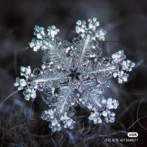 蒲公英四班——山野淘淘《雪》