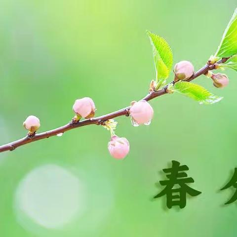 知春分 戏春分 画春分