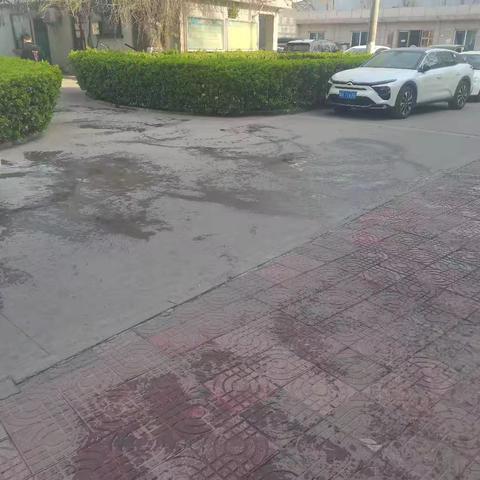 校园卫生专项整治：打造洁净学习环境
