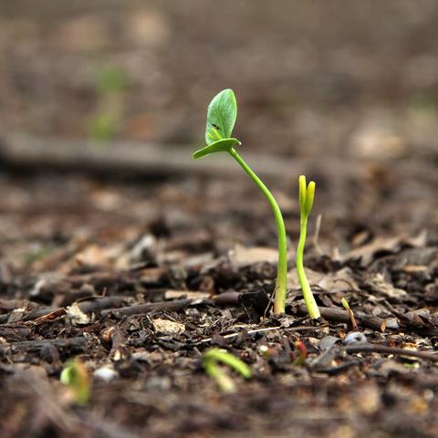 春寒料峭开新篇 高屋建瓴启征程——区教学研究中心深入薛城区北临城中学开展专项调研