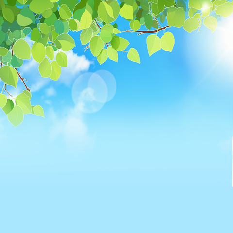 守护健康，远离基孔肯雅热！这份防蚊指南请查收