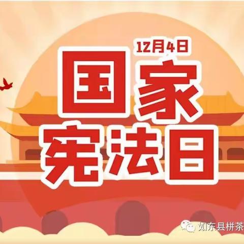 知法守法，与法同行——安阳市西于曹小学2023年“国家宪法日”普法宣传