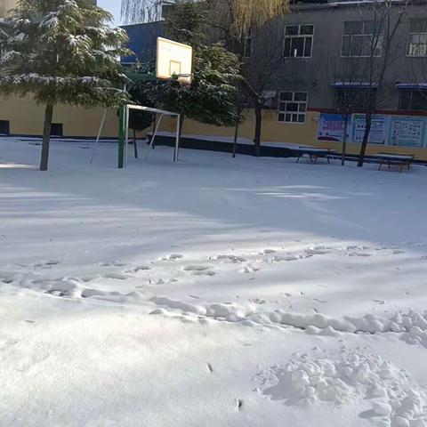 家校合力除雪 共创平安校园——西于曹小学扫雪除冰纪实