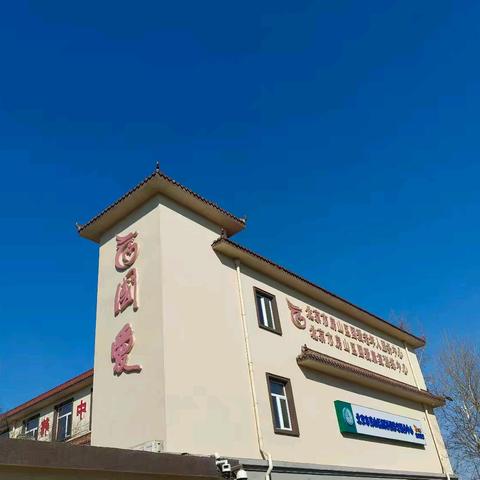 情暖国爱 饺子传情