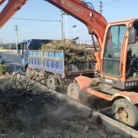 复线中间绿化续