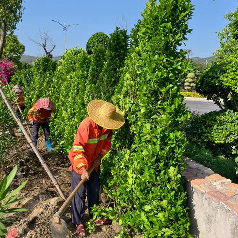 环城北路绿化和医院门囗④