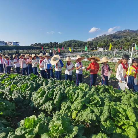 解锁“植物朋友”的成长密码 ——城三小学三（2）班参观全省科技特派员成果展示基地