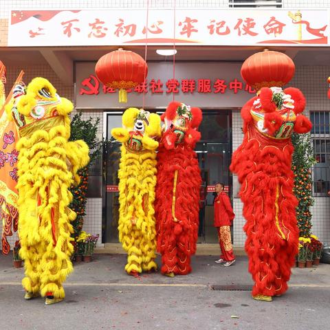 白云区松洲街：喜庆舞狮大巡游 特色村宴闹元宵