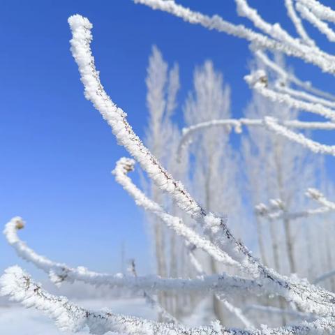 我们的滑雪日记