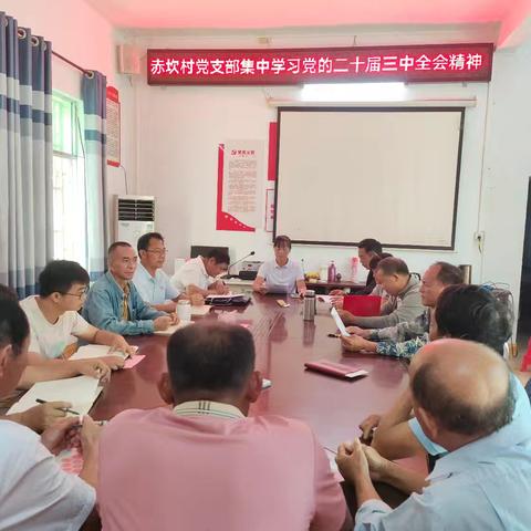 感悟思想伟力  凝聚前行力量——赤坎村党支部深入学习党的二十届三中全会精神