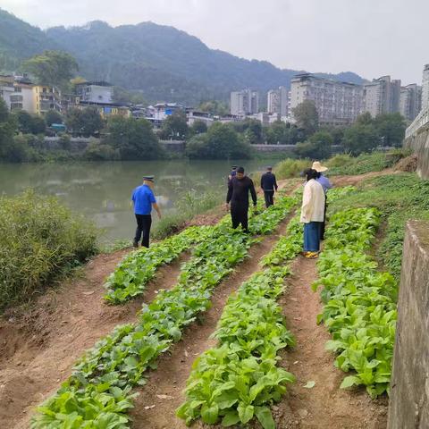 龙津镇联合开展河道违规菜地清理整治行动