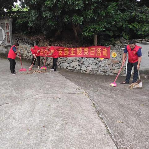 “忆初心，强党性”——党建+浦北县乐民镇社头小学党支部主题党日活动