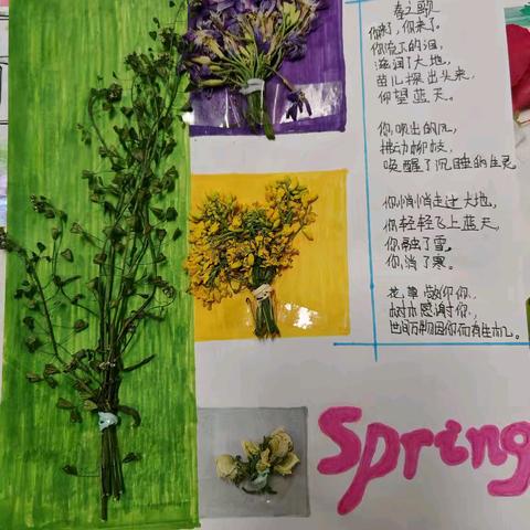 春景美，诗句美，用心的孩子最美！