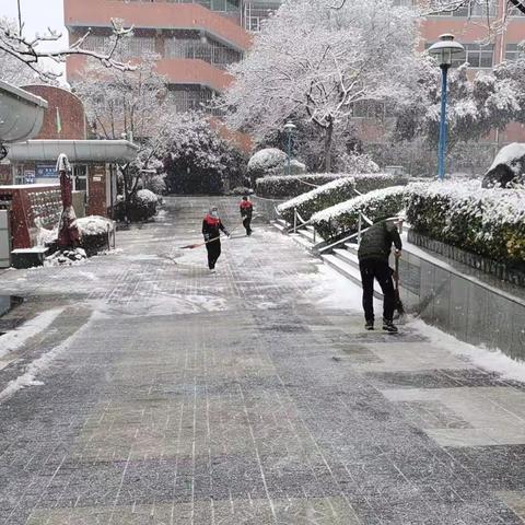 以“雪”为令，全力以赴， 确保师生校园出行安全