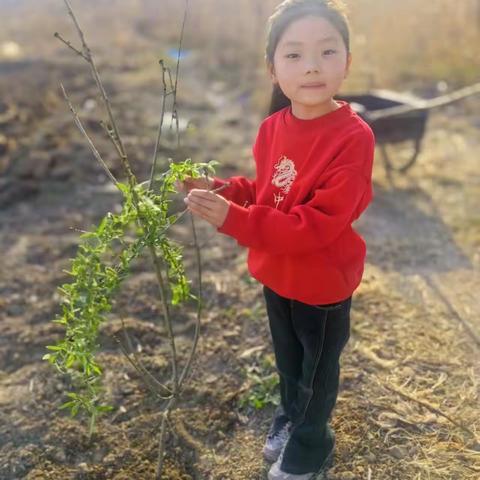 博兴县乐安实验学校美言美行好少年——多才多艺好少年