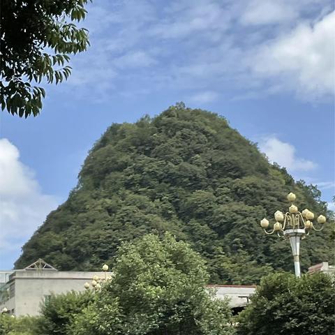 秋天的身影何在？意义何在？