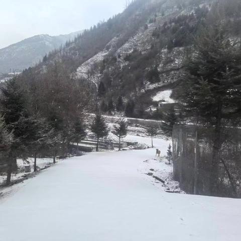 博峪河管护中心辖区降雨雪情况