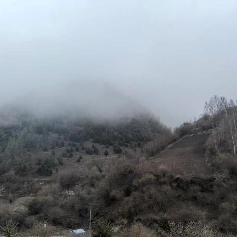 博峪河管护中心辖区降雨情况