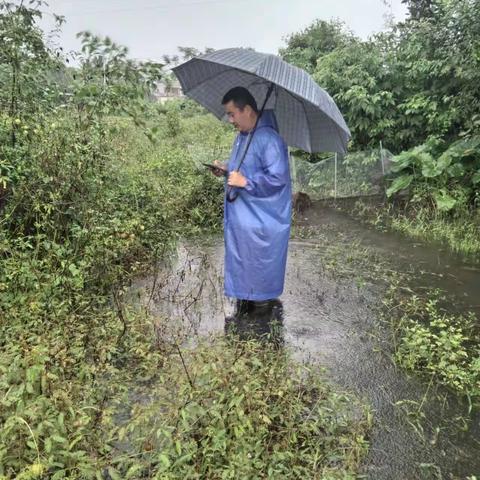 “不撂不荒”，平塘村图斑复核在行动