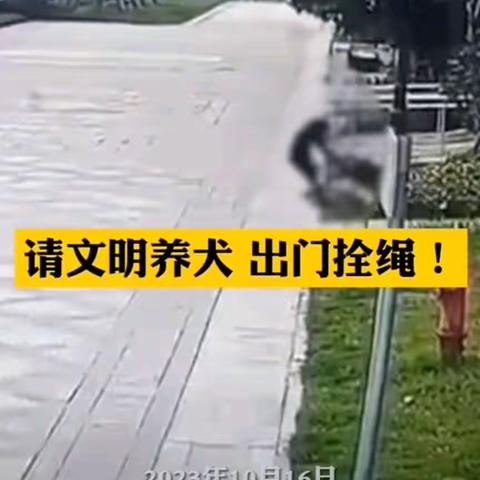 牵好“文明绳”，向不文明养犬 Say No ！！