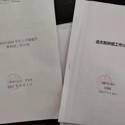 洱源县三枚中心完小2023—2024年上学期教研活动总结