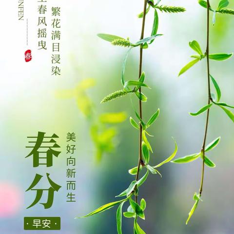 春暖花开🫶奔你而来 ——小豆豆幼儿园