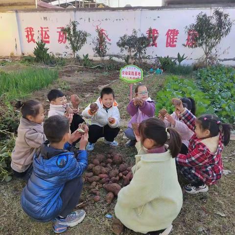 ［蔬果飘香，“植”得期待］ 李口小学劳动教育实验基地掠影