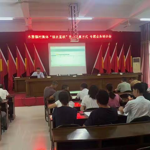 水茜镇农村集体“三资”管理突出问题专项整治阶段成果公布