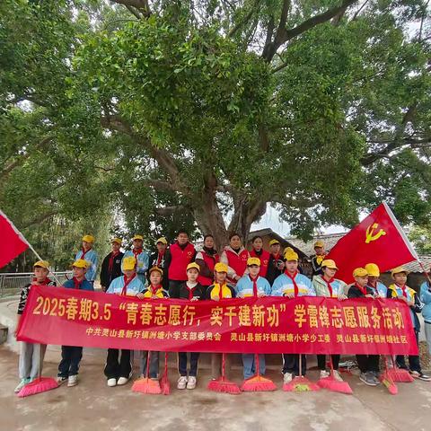 灵山县新圩镇洲塘小学党建引领“人人学雷锋”主题活动