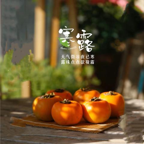 寒露不寒，滋润你心——沛县汉源小学二十四节气寻美课程之寒露