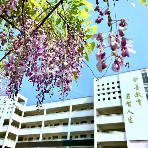 繁花似锦竞芳菲 以赛促教共成长 ——上饶市第十一小学四月竞赛活动纪实