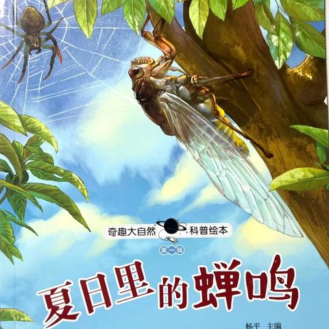 新加坡城幼儿园自然科学探索课程——蝉的秘密