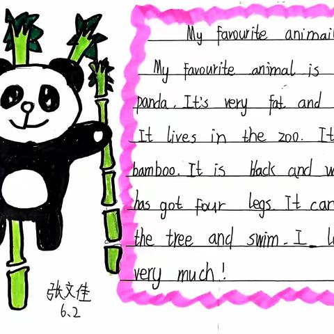 动物探究实践活动