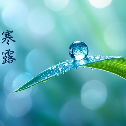 关注卓越课堂，探讨教学策略，共话思政育人