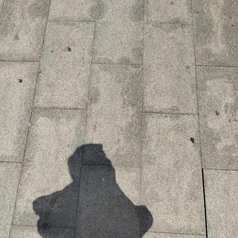 阳光下的小丑