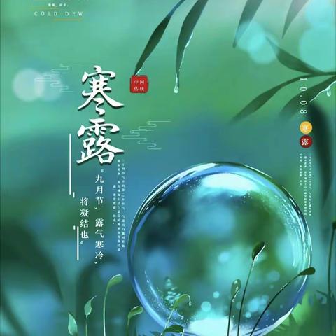 “寒露至，秋意浓”——世纪东方幼儿园寒露节气活动