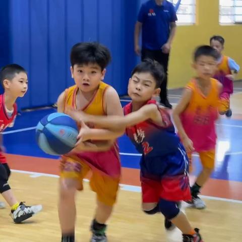 2024秋季周末班及秋季联赛报名简章