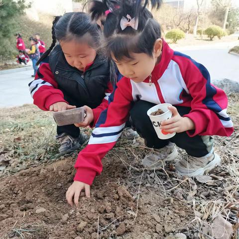 播种希望，收获成长——鹏泉街道办事处中心幼儿园东海园植树节主题活动