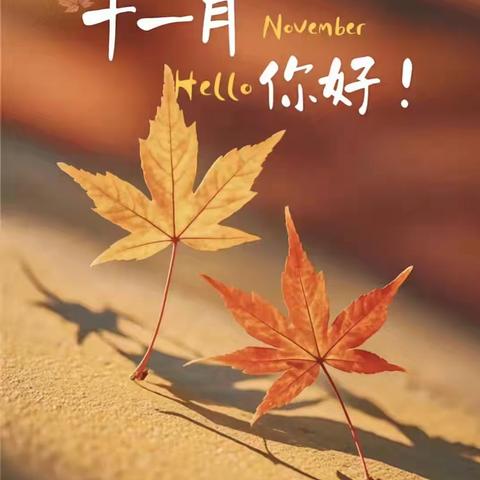 渡辉物业塔桥家园 ﻿11月份工作简报