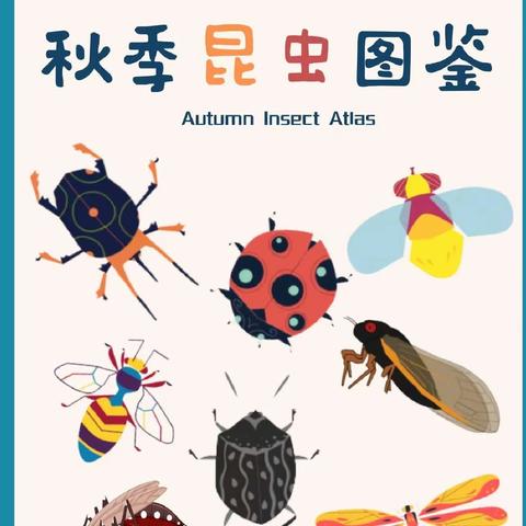 户外课堂——探索昆虫之旅
